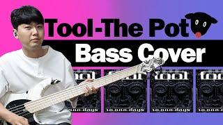 Tool - The Pot Bass Cover -손록손록tv-