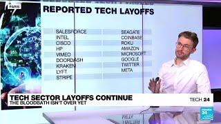 Bloodbath of layoffs in tech sector continues into 2023 • FRANCE 24 English