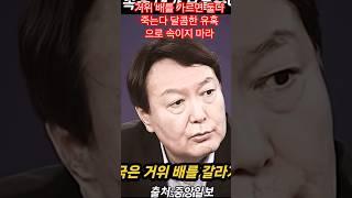 달콤한 유혹