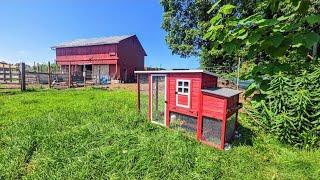 NEW Momma Hen HOUSING! // Whitt Acres