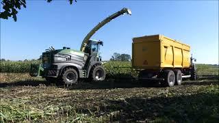 Wiverco mais hakselen 2024 (1) , Krone Big X 1180