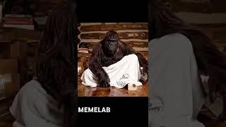  This made me laugh  #funny #fyp #viralvideo #memes