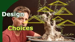 Bonsai Design Choices: Styling an Olive Bonsai