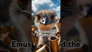 Australian Army defeated by Emus | Crazy History