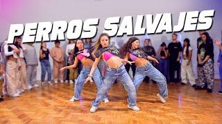 DADDY YANKEE | PERROS SALVAJES (Official Video) | Coreografía por Emir Abdul Gani