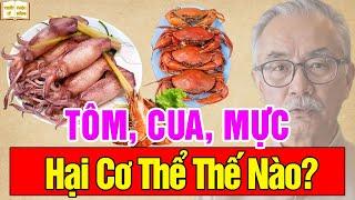 Tôm cua mực gây hại cơ thể thế nào? Sự thật ít người biết