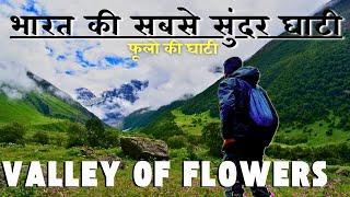 Valley of Flowers Uttarakhand Trek | धरती का स्वर्ग फूलो की घाटी । Valley of Flowers Uttarakhand