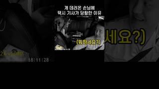 "뭘 부탁 한다고요?.." 택시 기사 당황하게 만든 댕댕이 견주의 행동