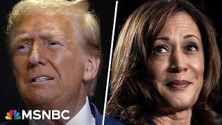 What is the difference between a Trump and Harris government? Steele breaks it down