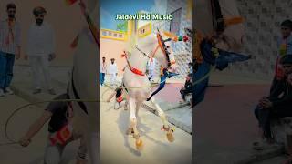  Ghodi ho to asi इस घोड़ी ने मचाई धूम पूरे झुलस में #song #jaldevi_hd_music #dance #tejajibhjan