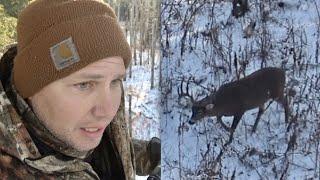 2022 Big Alberta Bush Buck DOWN - "I'm gonna puke!"