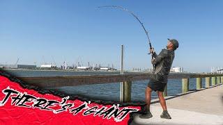 There's a Saltwater Menace Eating BIG Fish at Sabine - Shore Fishing