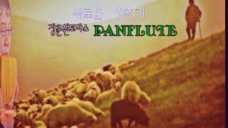 외로운 양치기 [장춘원 토마스 PANFLUTE 연주]