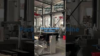 Flow pack machine box motion type