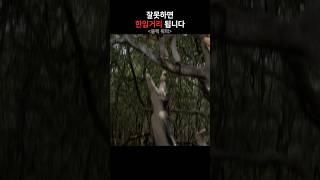 한입거리라니....ㄷ ㄷ ㄷ