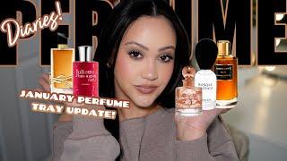 PERFUME DIARIES  JANUARY PERFUME TRAY UPDATE | PERFUMES I HAVE BEEN WEARING THIS MONTH! |AMY GLAM 