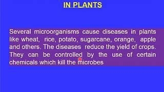 Microorganism  Friend and Foe  Part 4