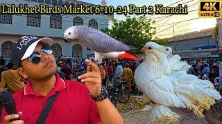 Lalukhet Birds Market 6-10-24 Part 2 Karachi Latest Updates | پرندوں کے خریدار مارکیٹ کا رخ کرنے لگے