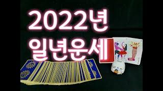 [타로] 2022년 일년 운세