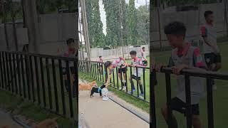 #football #footballkids#footballtogether #Optionefootballacademy#OOFA #guyharufamil#skills#YouTube