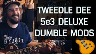 Tweedle Dee 5e3 Dumble Clone - Tweed Deluxe 5e3 With Alexander Dumble Style Mods