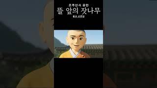 조주 공안 - 뜰 앞의 잣나무 #화두 #선문답 #간화선