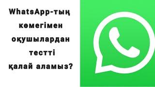 WhatsApp арқылы оқушылардан тестті қалай алуға болады? Кері байланыс. БЖБ. Pollie.