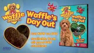 Waffles Day Out - Now available on DVD