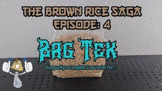 Brown Rice Saga Episode: 4 | Eazy BlueThumb