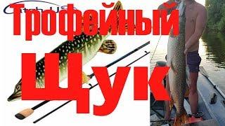 Спиннинг для трофея! Щука ломает подсак ТАКОГО НИКТО НЕ ОЖИДАЛ! The biggest pike that I've seen.