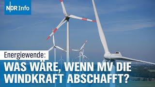 Was wäre Mecklenburg-Vorpommern ohne Windkraft? Folgen und Szenarien für den Standort | NDR Info