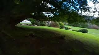 DJI Avata flights around Tollymore Forest