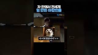 차 안에서 '전세계 유행 밈' 만든 아랍인들 ㄷㄷ