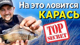 Карась на ФИДЕР! Секретная прикормка на карася.