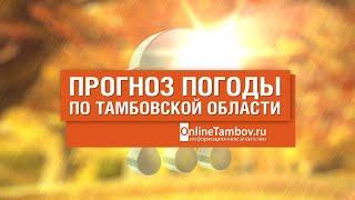 Прогноз погоды в Тамбове и Тамбовской области на 7 ноября 2022 года