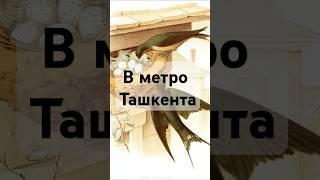Ласточки в метро Ташкента