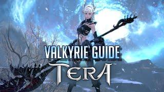 [TERA] 2021 Rotation Guide (detailed) and Tips for Valkyrie [OUTDATED]