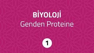 TUNAFEN Biyoloji - Genden Proteine 1