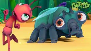Stuck on You | Antiks | Animals And Creatures Cartoon In Hindi हिन्दी