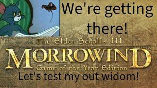 TES III morrowind! You should play this game!