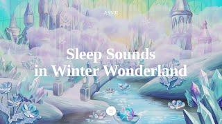 [ASMR] Nature White Noise For Stress Relief, Deep Sleep (Frozen Winter Ambience) in Sleep Factory