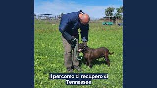 Il percorso di recupero di Tennessee!