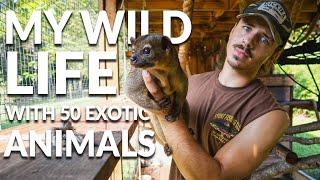 How I Take Care of 50+ Exotic Animals