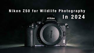 Nikon Z50 in 2024  |  A Wildlife Photographer's Perspective