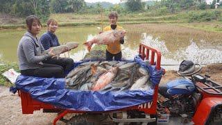 Use 4-wheeled Truck Off-road vehicle harvest fish and travel 50km to sell - Catch many fish