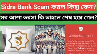 Sidra Bank Scam করল কিন্তু কেন? | Human And MoonBix $500-$500 ফ্রি ইনকাম চান্স