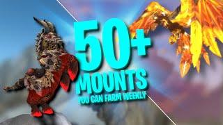 EVERY Mount You Can Farm WEEKLY (Beginner Friendly)