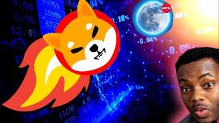 Shiba Inu To The Moon? 