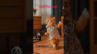 Tranding cat dance#youtubeshort#viralcats#kidsland