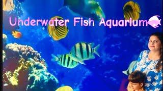 Underwater Fish Aquarium Delhi || Full tour Fish Tunnel || Delhi Fish Tunnel Aquarium